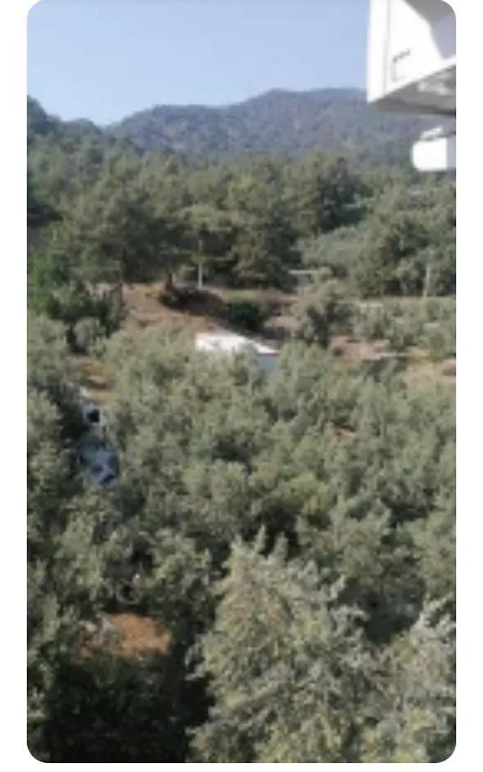 Elif Su Apartamento Fethiye
